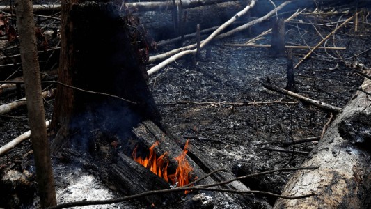 Bolsonaro culpó a las ONG por el fuego en la Amazonía: "Quieren derrocarme"