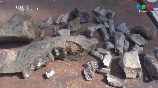 Hallaron restos fósiles de un mastodonte en el arroyo Saladillo