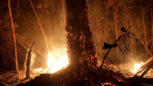 Bolsonaro rechazó la ayuda del G7 para combatir los incendios en la Amazonia