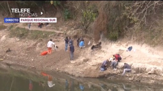 Roban restos fósiles del "mastodonte del Saladillo"