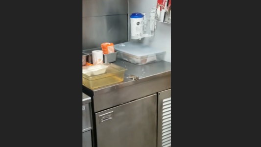 A la vista de todos, un ratón salta dentro de la freidora en un local de comida rápida
