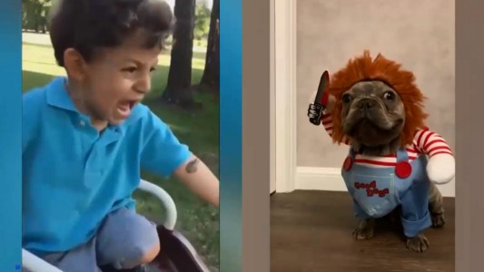 Duelo de virales en Telefe Noticias