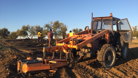 Trabajadores rurales percibirán el bono de 5.000 pesos en tres cuotas