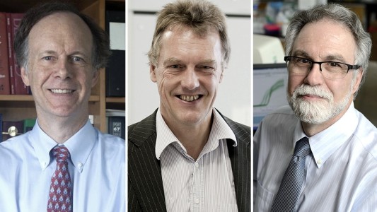 El Nobel de Medicina fue para dos estadounidenses y un británico que estudian la adaptación de las células