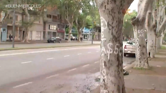 Los cuidacoches "ponen tarifa" para estacionar y lavar los autos