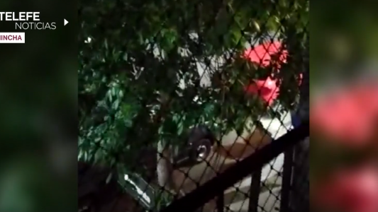 Pichincha, otra vez: peleas permanentes por ruidos molestos