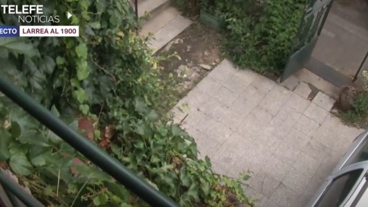 Insensibilidad extrema: roban la casa de un hombre con discapacidad y se llevan hasta los trámites de la jubilación