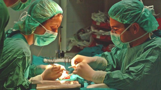 Buscarán aumentar "un 10% por año durante 5 años" la tasa de donantes vivos de riñón