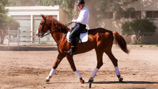 Macri montó un caballo y se despidió de su escolta de Granaderos