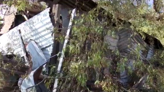 Saldo fatal de la tormenta: una mujer murió al caerle un árbol encima