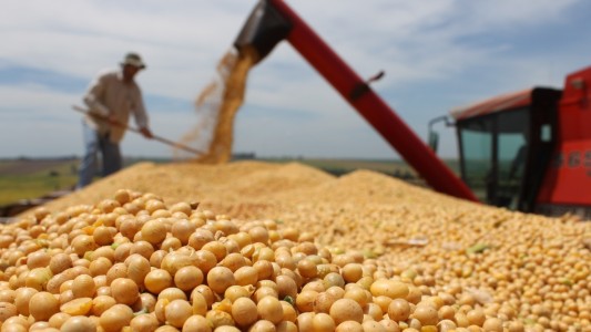 Alberto Fernández sobre las retenciones: "No es una medida contra el campo"