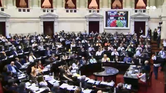 Diputados aprobó en general la Ley de Solidaridad Social
