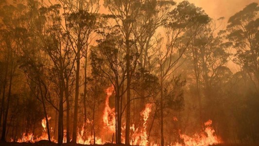 El humo de los incendios de Australia provocó un cielo rojizo en parte de la Argentina