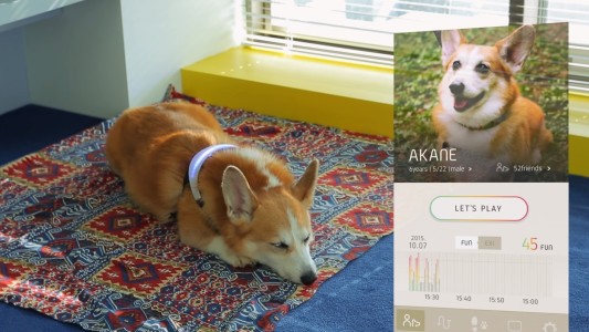 CES 2020: adelantos y curiosidades de la megaferia tecnológica