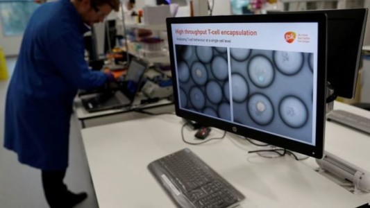 Científicos descubren las causas de la metástasis y se abren nuevas vías para un posible tratamiento