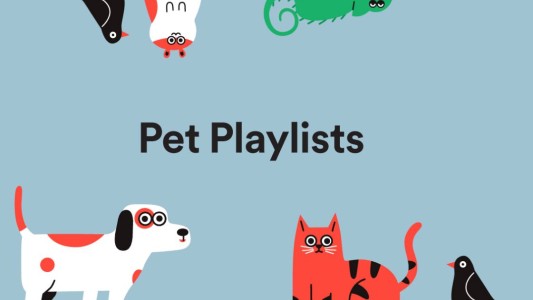Spotify lanzó listas de reproducción para que las mascotas no extrañen a sus dueños