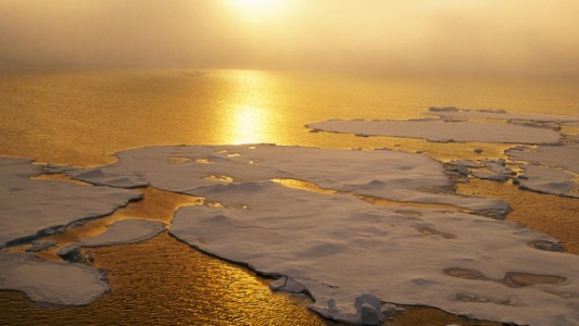El 2019 fue el segundo año más caluroso en la historia registrada de la Tierra