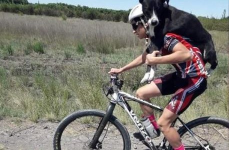 Ciclistas cargaron a un perro en la ruta para poder salvarlo