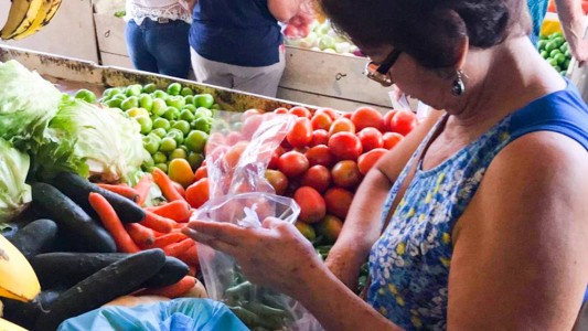 La Canasta Básica Alimentaria aumentó 52,8 % a lo largo de 2019