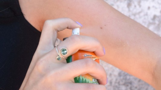 Hay seis casos de dengue en Santa Fe pero ninguno es autóctono