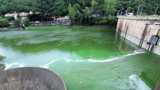 Invasión de algas en el lago San Roque: advierten a bañistas no meterse en el agua