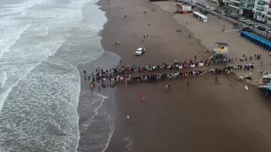 Monte Hermoso: liberaron a una tortuga marina rescatada de redes de pesca