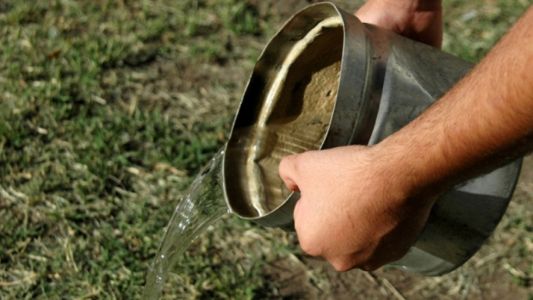 Salud Pública confirmó seis casos autóctonos de dengue en Rosario