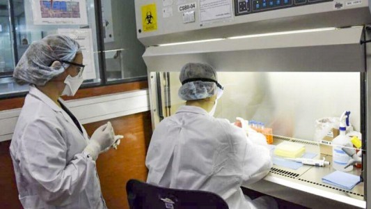 Coronavirus en Argentina: se confirmaron 86 nuevos casos y suman 387 en total