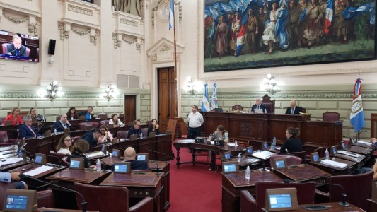 Diputados aprobó la ley de necesidad pública y un fondo para la pandemia