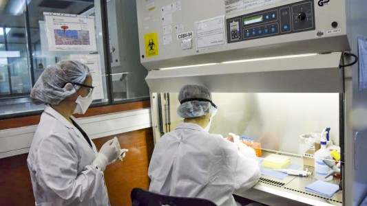Se realizaron casi 11 mil test de coronavirus y ya son 106 laboratorios los que analizan muestras