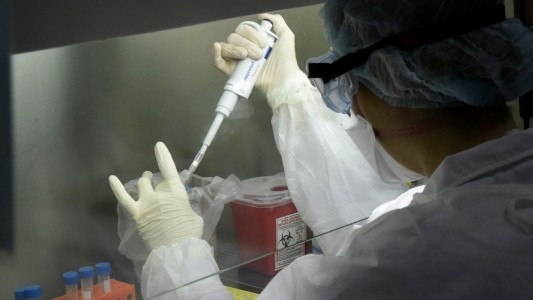 El Instituto Malbrán identificó la circulación de tres cepas diferentes de Covid-19 en Argentina