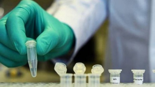 Empiezan a tratar con plasma a pacientes graves con COVID-19 en Argentina