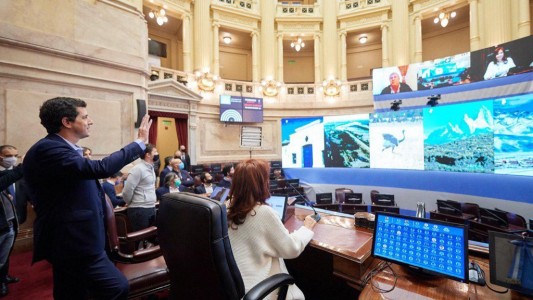 Jornada histórica: el Congreso sesionará en forma virtual por primera vez