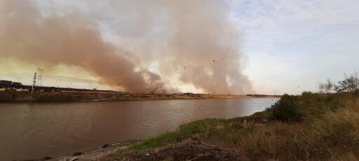 Fuego en las islas: fiscal pidió la "inmediata detención" de 10 propietarios
