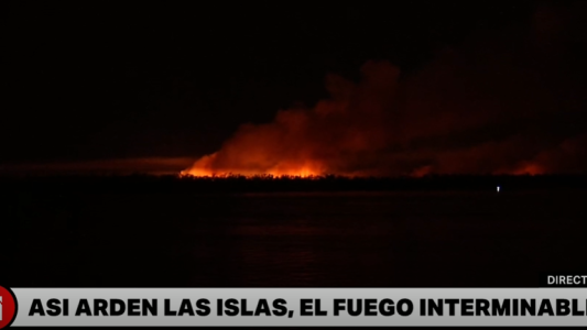 Fuego en las islas: un nuevo capítulo del ecocidio en el Paraná