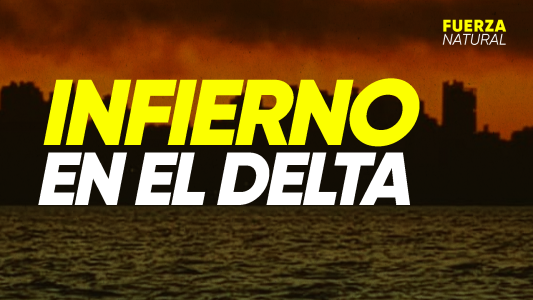 Infierno del Delta: desastre ambiental sobre el río Paraná