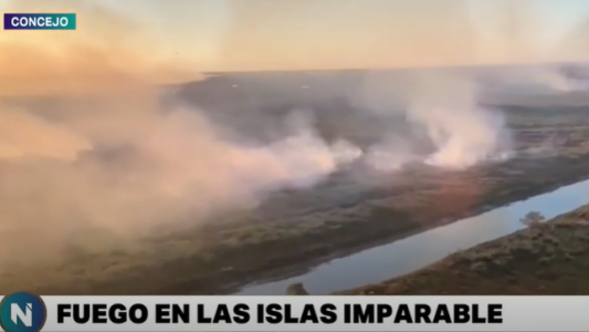 Los brigadistas no dan abasto y proponen pedir ayuda internacional