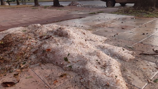 Alerta por tormentas fuertes en varias provincias: granizó en Buenos Aires y Córdoba