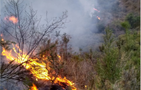 Córdoba: el drama de unas 70 familias de San Roque amenazadas por el fuego