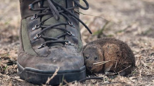 El reportero gráfico que conmovió al país con una foto del fuego en las islas