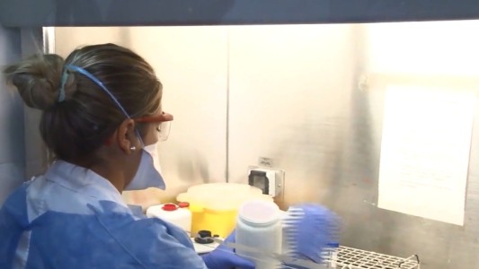 El resultado de los hisopados de covid-19 se podrá conocer a través de la web