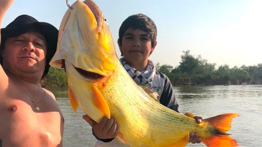 Un nene de 12 años pescó un dorado gigante y lo devolvió al Paraná