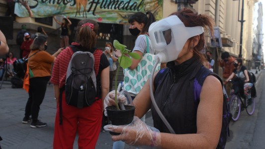 La Multisectorial por los Humedales denuncia "desidia" de las autoridades