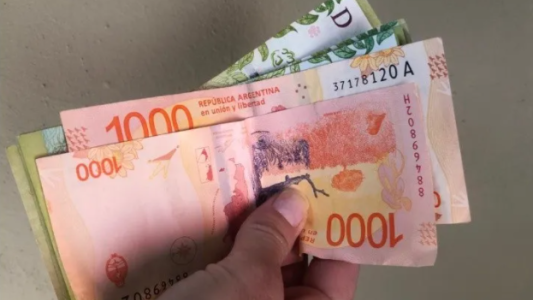 ¿IFE o Ingreso Básico? Conocé a quiénes incluiría la nueva ayuda económica