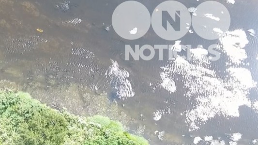 Video: un delincuente quiso escapar de la policía arrojándose al arroyo Saladillo