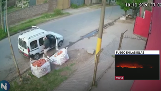 Con bastón y renguera, dos adultos mayores roban ladrillos de un corralón de materiales