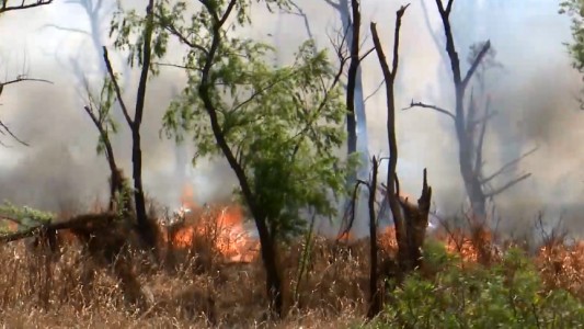 Citan a indagatoria a 47 personas en la causa por los incendios en las islas
