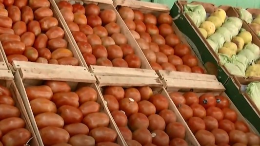 Después de irse "por las nubes", el precio del tomate comienza a dar una tregua