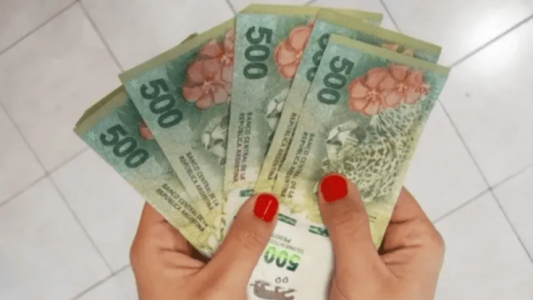 Próximos pasos sobre el IFE 4 y la ampliación de AUH