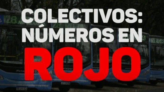 Reforma en el transporte: ¿Qué opinan los usuarios de cambios en frecuencias y recorridos?